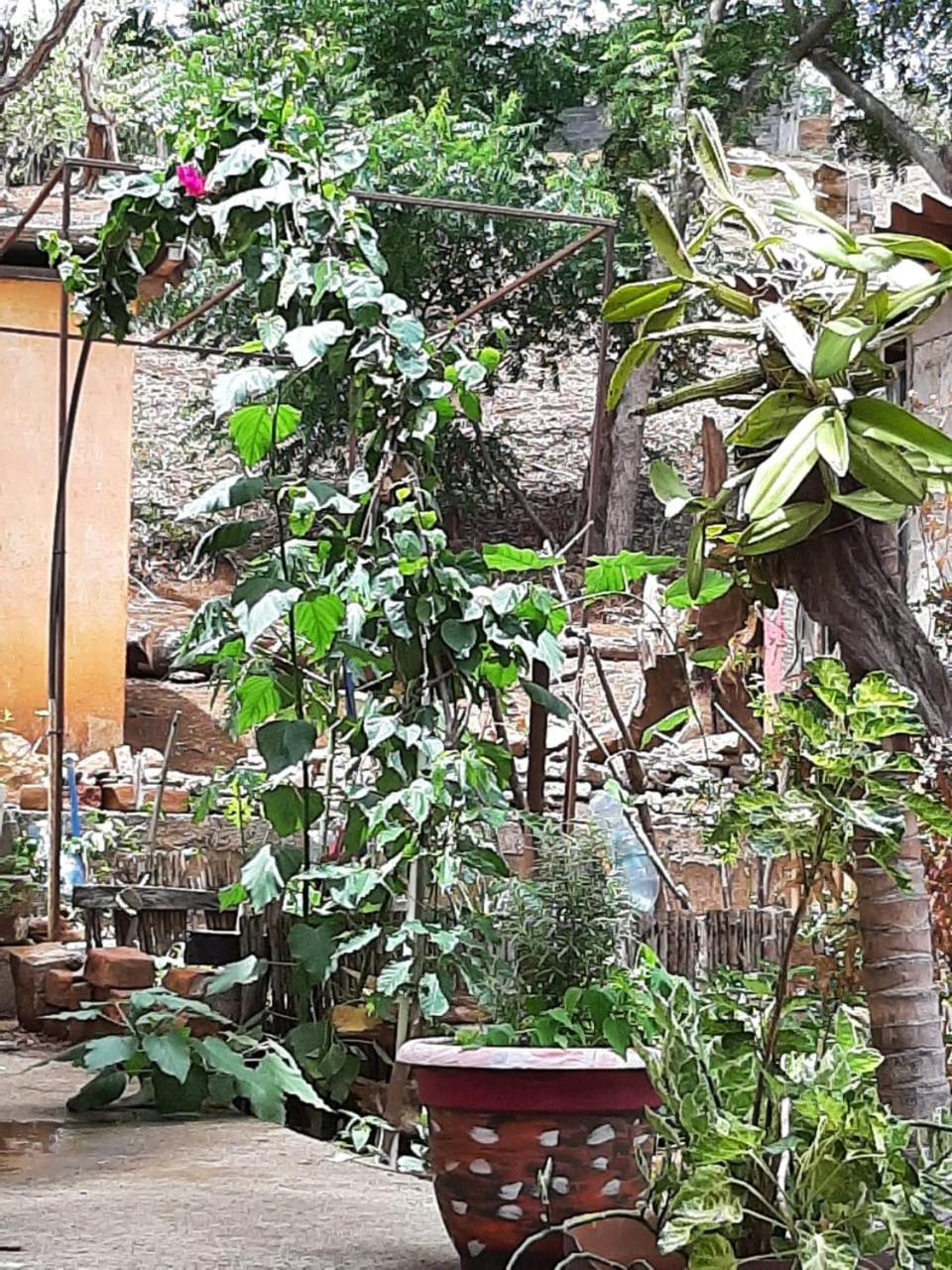 El Jardin Hotel San Juan del Sur Eksteriør billede
